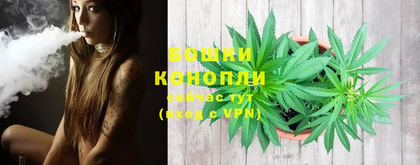 первитин Богородицк