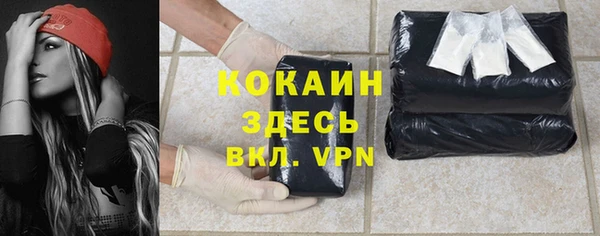 первитин Богородицк