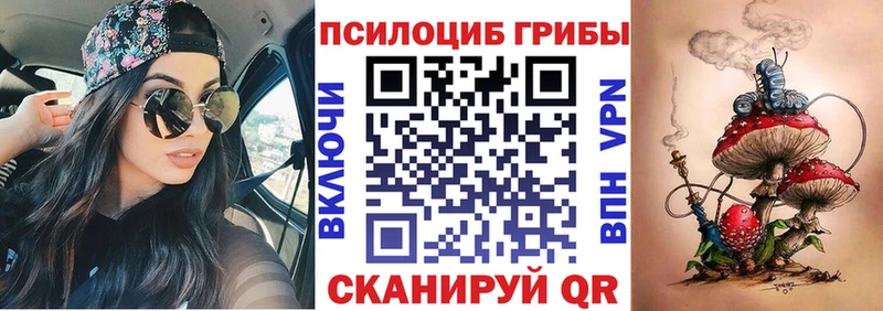 Купить где  Краснозаводск  Псилоцибиновые грибы мицелий 